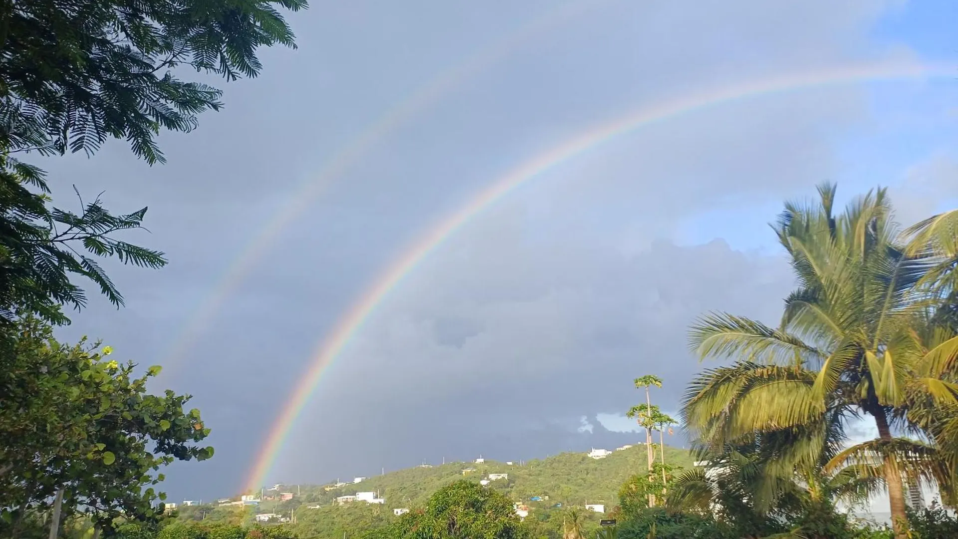 Rooster Run Glamping Camping Has Rooftop And Off The Ground Glamping Experience For 1 To 16 In A Single Tent And Views Of The Rain Forrest And To Culebra Across The Atlantic Ocean W Tents, Linens, Deluxe Air Beds, Warm Shower And More At A Great Pric Vieques Luxury tent