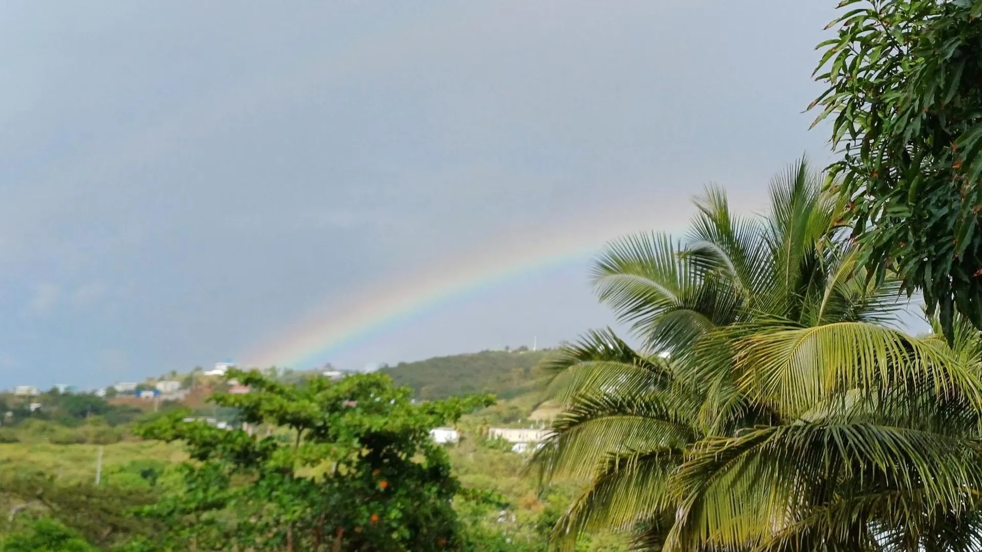 Rooster Run Glamping Camping Has Rooftop And Off The Ground Glamping Experience For 1 To 16 In A Single Tent And Views Of The Rain Forrest And To Culebra Across The Atlantic Ocean W Tents, Linens, Deluxe Air Beds, Warm Shower And More At A Great Pric Vieques Luxury tent